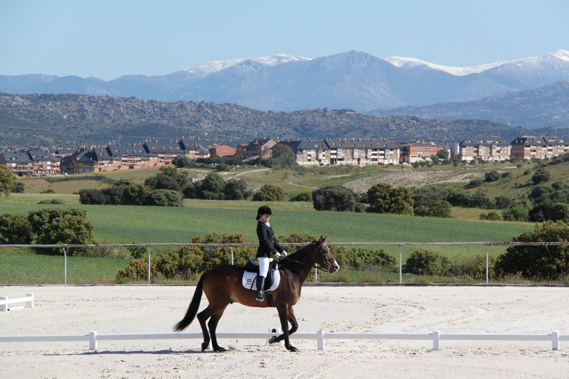 Para-ecuestre, el equipo Navarro cumplió los objetivos en Madrid